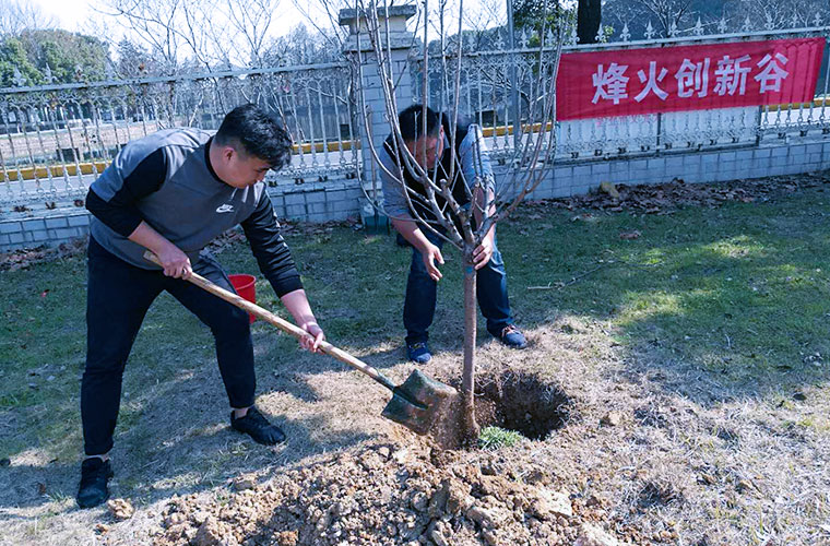 陽春三月，植樹護綠，智云集思在行動